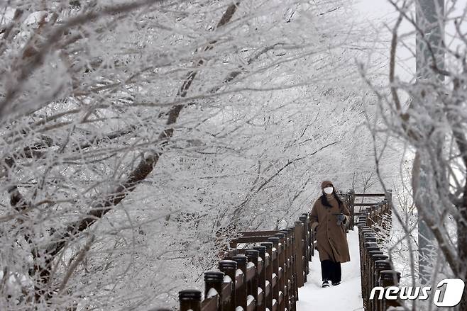 제주 한라산 1100고지 휴게소를 찾은 한 관광객이 겨울 정취를 즐기고 있다.2021.1.6/뉴스1 © News1 오현지 기자