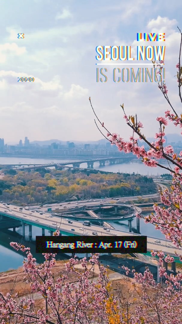 서울관광재단이 진행한 틱톡에서 서울의 실시간 풍경을 소개하는 서울나우 캠페인