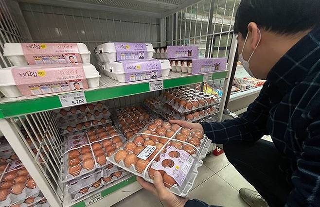 금란 될라 - 10일 서울 서대문구의 한 마트를 찾은 남성이 계란을 집어 들고 있다. 고병원성 조류인플루엔자(AI) 확산으로 계란 공급이 줄면서 계란 한 판(특란 30개) 소비자 가격이 한 달 전보다 9.5% 올랐다. /고운호 기자