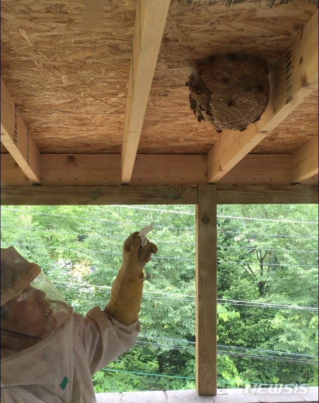 119 대원이 가정집 처마 밑에 둥지를 튼 벌집을 제거하고 있다. (사진=뉴시스DB)