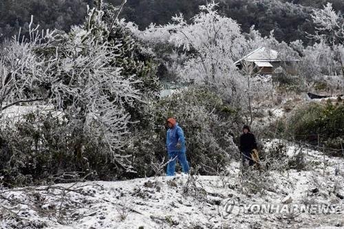 지난 11일 라오까이성에서 주민들이 눈 내린 길을 걷고 있다. 로이터=연합뉴스