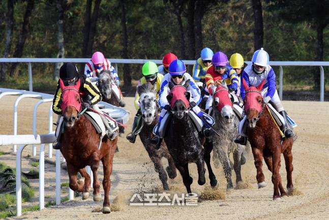 제주경마장 경주장면 제공 | 한국마사회