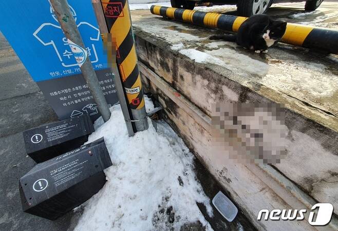 13일 서울 마포구 길고양이 급식소 입구에 눈이 쌓여 있다. © 뉴스1 황덕현 기자