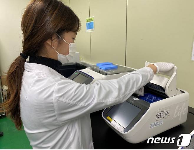 전남보건환경연구원 연구원들이 감염병에 대한 검사를 진행하고 있는 모습.(전남도 제공) 2020.1.3/뉴스1 © News1 전원 기자