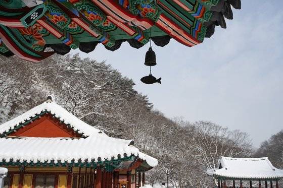 강천산 계곡에 폭 안긴 강천사에도 하얗게 눈이 덮였다.