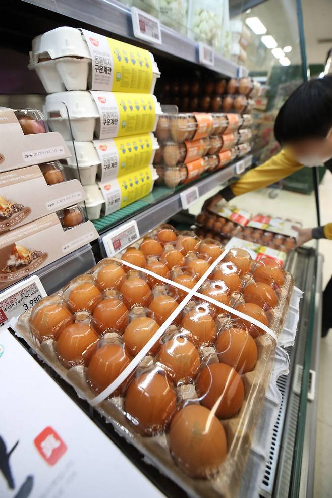 고병원성 조류인플루엔자(AI) 확산으로 달걀 가격이 오른 지난 15일 서울의 한 대형마트에서 관계자가 달걀을 진열하고 있다. (사진=연합뉴스)