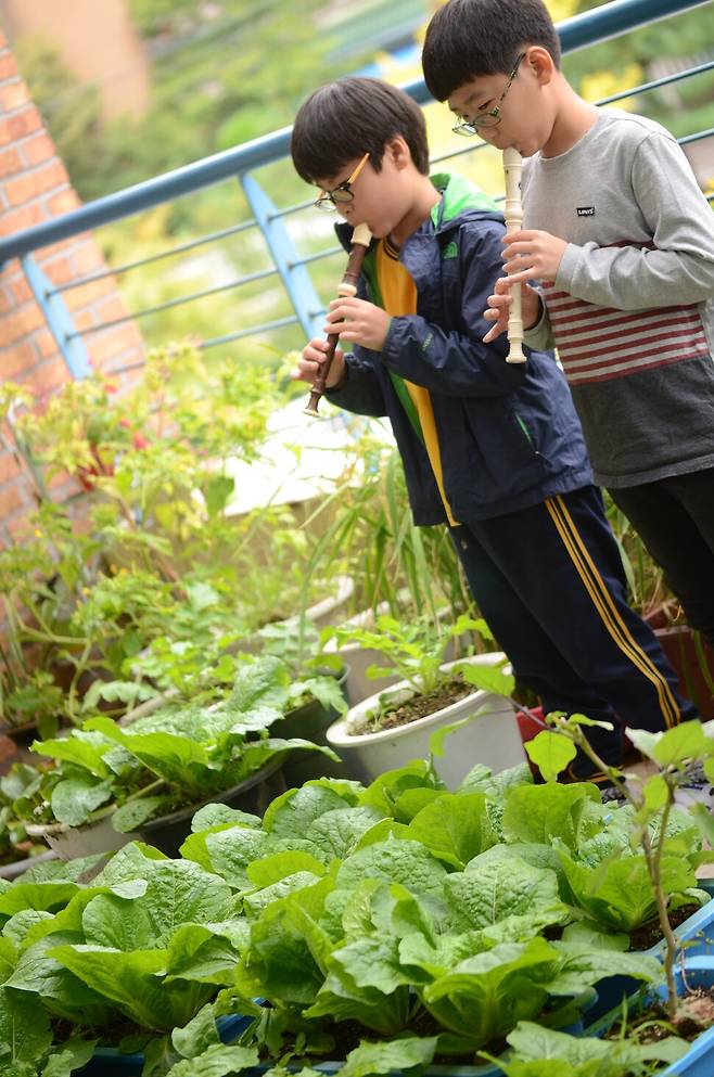 2017년 어느 날 초가을. 아이들이 배추가 잘 자라길 바라며 리코더를 불어주고 있다. 송숙 제공