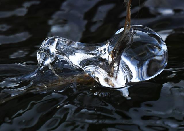 물 마시는 새처럼 보이는 청계천 얼음