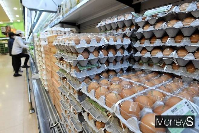 대형마트가 밥상물가 안정을 위해 계란, 배추 등을 20% 할인한다. /사진=장동규 기자