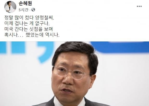 사진=손혜원 전 민주당 의원 페이스북 갈무리