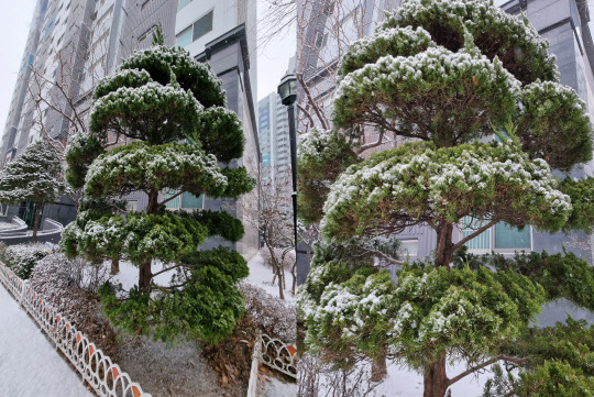 갤럭시S21로 촬영한 풍경(왼쪽)과 갤럭시S21 울트라로 촬영한 풍경. 윤선영 기자