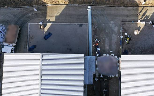 고병원성 조류인플루엔자(AI) 확진 판정을 받은 경기도 안성시의 한 산란계 농장에서 지난 14일 살처분 작업을 진행 중이다. (사진=연합뉴스)