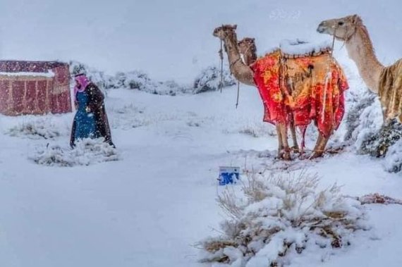 사우디아라비아 타부크 지역에 내린 눈. /사진=페이스북 게시글 갈무리
