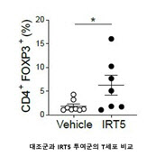 IRT5 투여군에서 대조군에 비해 면역조절 T세포 수가 많은 것으로 조사됐다.
