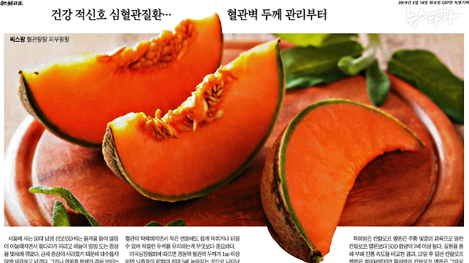 2019년 2월 19일 조선일보의 '씨스팡' 광고 기사. 위 1월 22일 기사와 사진이 똑같다.