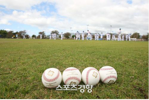 하와이에서 첫 전지훈련을 하는 WBC 야구대표팀 앞에 WBC 공인구가 잔디위에 놓여있다. 경향DB
