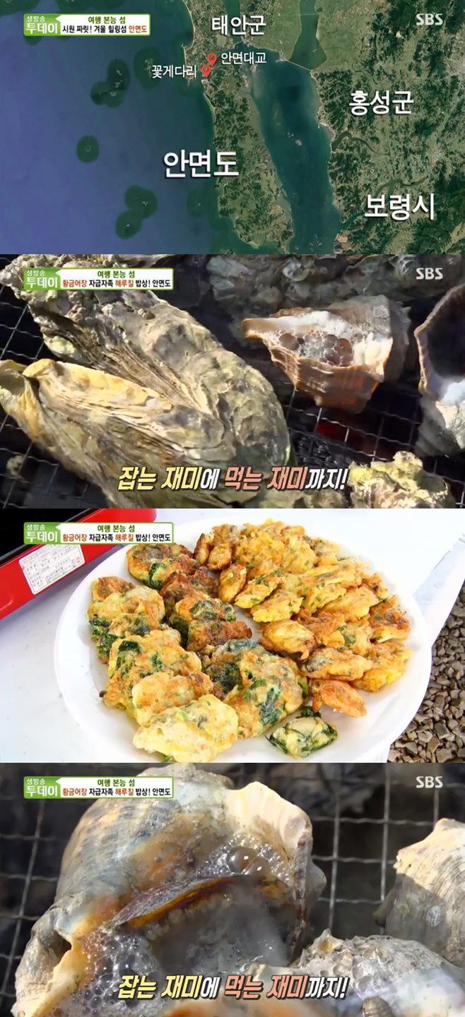 ‘생방송투데이’ 부산 방어회(웨이브레스토랑)+산해횟집+숯불·철판닭갈비(춘천명종닭갈비) 맛집