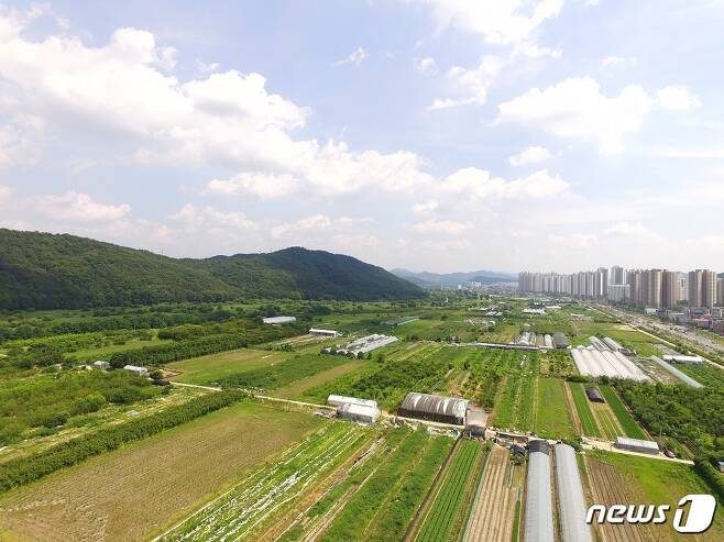 대전 도안갑천지구 호수공원 대상지 전경.© 뉴스1