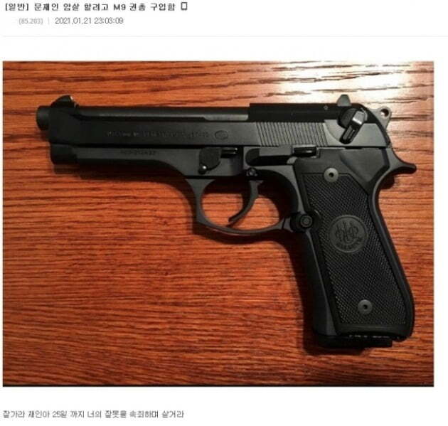 한 인터넷 사이트에 대통령 암살을 위해 권총을 구매했다는 글과 사진이 올라왔다. /디시인사이드 캡처
