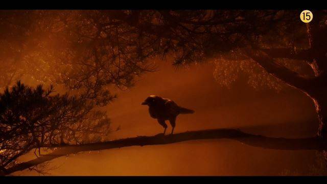 CG로 만든 까마귀. 드론을 활용해 활공 장면을 구현했고, 피부 질감과 윤기 나는 깃털도 CG의 결과물이다. tvN 제공