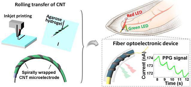 탄소나노튜브 전극 전사를 통한 인체 신호 모니터링용 광전소자 구현 전략에 관한 모식도.(자료=한국과학기술연구원)