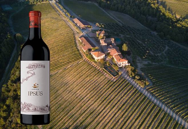 이탈리아 와이너리 '마쩨이'의 와인 '입수스(IPSUS)'<사진제공=하이트진로>
