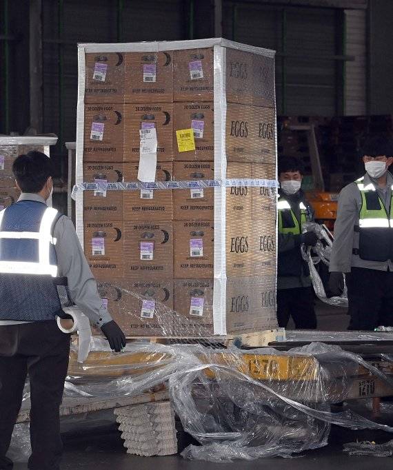 고병원성 조류인플루엔자(AI) 확산으로 국내 계란 공급이 부족해지며 가격도 미국산 계란이 수입 되었다. 25일 오후 인천국제공항 화물터미널에서 아시아나항공 관계자가 자사 항공기로 수송된 미국산 계란 상태를 확인하고 있다. 아시아나항공은 AI 확산 여파로 국내 계란 공급이 부족해진 상황에서 정부의 긴급 요청에 따라 21일 초도물량 운송을 시작했으며 이날 계란 20여t을 수송했다. 사진=서동일 기자