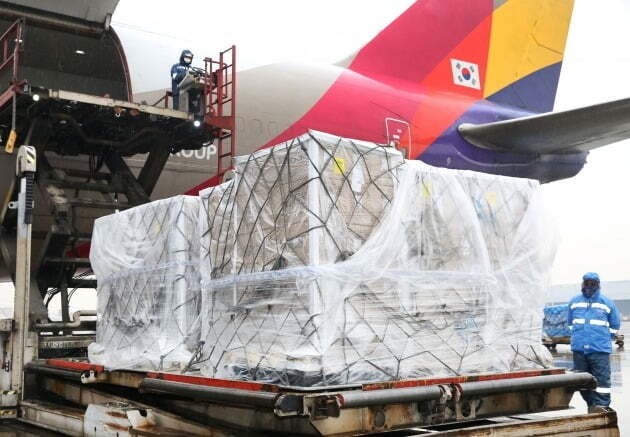 25일 아시아나항공에 따르면 이 항공사는 이날 정부의 긴급 요청으로 미국 시카고~인천 노선을 통해 미국산 계란 20여t을 긴급 수송했다. 사진=아시아나항공 제공
