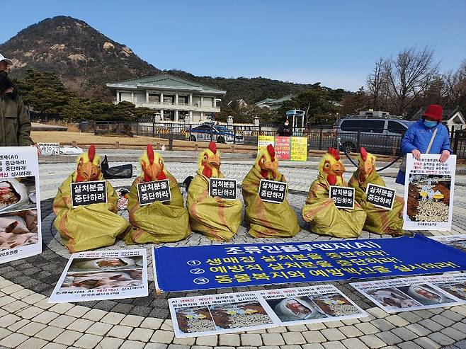 25일 오후 1시 서울 청와대 분수광장앞에서 한국동물보호연합회 소속 회원들이 닭 가면을 쓴채 가금류 살처분 중단과 조류인플루엔자(AI) 예방백신 사용을 촉구하는 퍼포먼스를 하고 있다. 한국동물보호연합회 제공