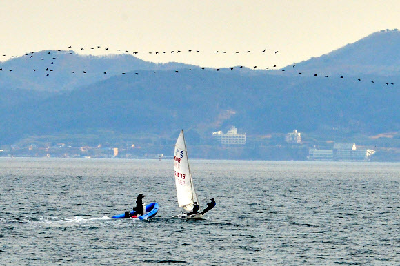 지난 21일 경북 포항시 북구 영일대해수욕장 앞 바다에서 요트 선수들이 훈련을 하고 있다. 뉴스1