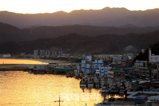 국내 최대 대게 잡이 포구로 유명한 경북 울진 후포항(사진=강경록 기자)