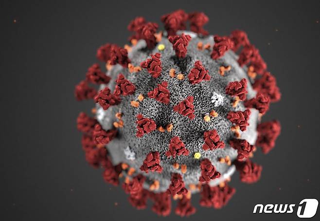 미국 질병통제예방센터(CDC)에서 만든 코로나19 바이러스 모형. © AFP=뉴스1