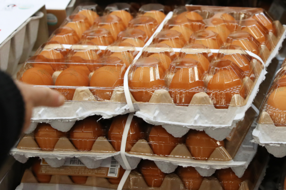 고병원성 조류인플루엔자(AI) 확산으로 달걀 가격이 오른 지난 15일 서울의 한 대형마트에서 시민이 장을 보고 있다. /연합뉴스