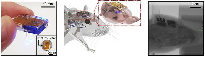 KAIST 연구팀이 개발한 뇌 이식용 무선 디바이스. [사진 제공 = KAIST]