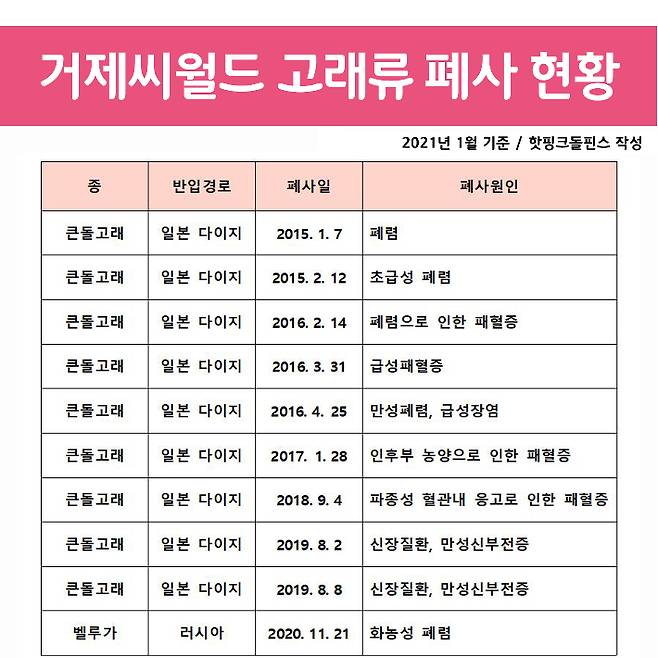 핫핑크돌핀스 제공