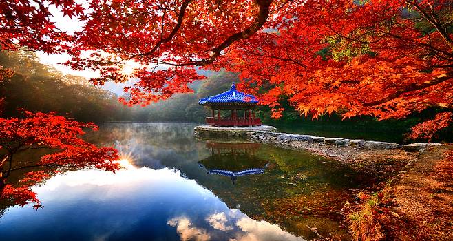 전북 정읍 내장산국립공원 가을 풍경. 전라북도 제공