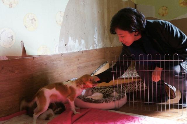 남인순 더불어민주당 의원이 경기 양주시에 있는 유기동물 보호소를 방문했을 당시 모습. 남인순 의원실 제공