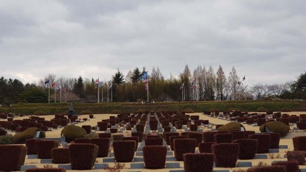 관목과 작은 비석으로 조경이 된 유엔기념공원 모습./ 송영찬 기자