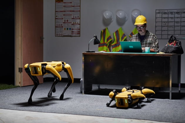 (사진) 현대차그룹이 인수하는 미국 보스턴 다이내믹스의 4족 보행 로봇 ‘스팟’. /현대차그룹 제공