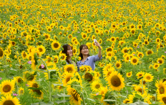 꽃처럼 활짝 웃고 싶다는 취준생 함혜민 씨와 김은영 씨.