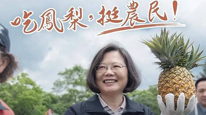 타이완 차이잉원 총통이 소셜미디어에 올린 사진. '파인애플을 먹자, 농민을 지원하자'고 돼 있다. (사진=환구시보)