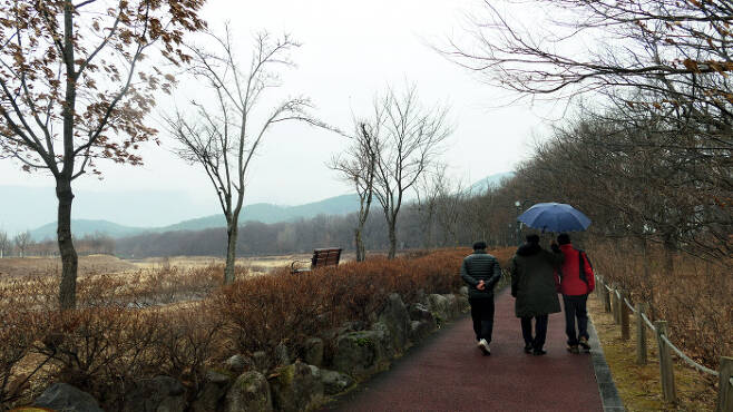 함양 상림은 한국에서 가장 오래된 인공림이다. 최치원 역사공원도 주변에 만들었다.