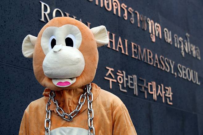 5일 오후 서울 용산구 주한태국대사관 앞에서 한 동물권리운동가가 원숭이 복장을 하고 코코넛을 버리는 퍼포먼스를 하고 있다. 김봉규 선임기자 bong9@hani.co.kr