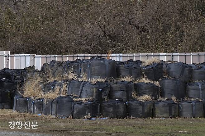 방사능에 오염된 토양과 쓰레기가 검은색 비닐포대에 담긴 채 일본 후쿠시마 지역에 쌓여 있다. AP연합뉴스