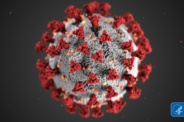 [서울=뉴시스]신종 코로나바이러스 감염증(코로나19) 바이러스. (사진=미국 질병통제예방센터(CDC) 제공)