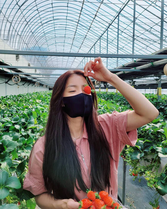 Actor Lee Si-young has reported on the latest.On the 5th, Lee Si-young posted his Strawberry-shaped emoticon and several photos through his Instagram.In the public photos, Lee Si-young, who is experiencing Strawberry picking at Strawberry Farm, was included.In particular, Lee Si-young is attracting attention because he is showing off his beauty in Strawberry field.Meanwhile, Actor Lee Si-young married Cho Seung-hyun, a restaurant businessman in 2017, and has a son.