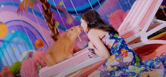 블랙핑크의 'Ice Cream' 뮤직비디오에 등장한 카피바라와 제니. 블랙핑크 유튜브 영상 캡쳐