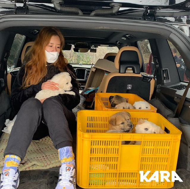 Singer Lee Hyori and Apink Yoon Bomi, actor Gong Min-jung participated in the puppy rescue activities and made a good influence.On the 10th, KARA Instagram, an animal rights group, said, Do you know the life of a rural dog who is alienated with a 1m neckline?And the growing number of wandering dogs. Jeju Island is in the midst of a hovering dog problem.The abandoned dogs become Stray Dogs, and the neglected country dogs wander into the mountains and become Stray Dogs. People are often treated as troublesome and pointed out as gray dogs, but the Stray Dogs problem can not be denied.Even if it was not intentional at first, he said.Jeju Island, a dog dog mother dog who lived in a short line and lived in a yard, recently gave birth to seven young babies.Younger Chilther and Sister also told of the situation of Puppy in Danger, who was almost a Stray Dogs.But fortunately I was able to meet good people, KARA said.Lee Hyori, actor Gong Min-jung, and Apink Bomi came to help these country dogs and young people who came across them. The three people decided to make their mother dogs look after their neutralization surgery and to become their subjects for seven young people and to find their family for a lifetime.According to KARA, four puppys are currently socializing in the impounds, including the home of the actor, and the three puppys are about to enter the adoption cafe after having an isolation period at the KARA center.At this time, Lee Hyori is MBC What do you do when you play?Linda, Biryong and Ragon, which were used at the time of the project group sprout three , were given to the puppy by a new name.KARA said, We want to find a good family for the rural poppy Sam Brother and Sister named by Lee Hyori. We hope that Stray Dogs will no longer be mass-produced and the country dogs will not be left unattended. 
