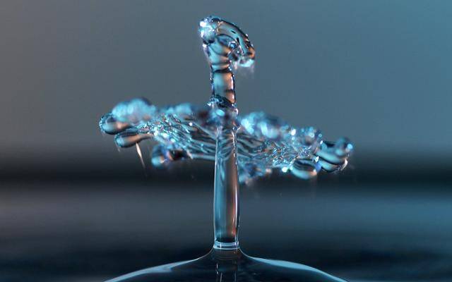 자유낙하하는 물방울이 또 다른 물 표면과 충돌하면서 호수 위에 우아하게 떠 있는 '백조' 모양을 만들었다. 적절한 조명과 특수 렌즈를 이용해 순간 포착한 물방울의 다양한 형태가 마치 유리 공예를 보는 듯한 착각을 일으키게 한다. 서재훈 기자