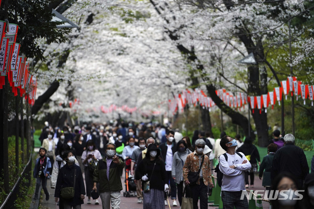 [도쿄=AP/뉴시스]26일 일본 도쿄에서 마스크를 착용한 시민들이 벚꽃이 활짝 핀 벚꽃로를 걷고 있다. 2021.03.26.
